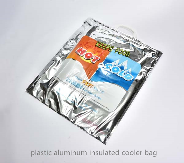 plastic aluminum insulated cooler bag