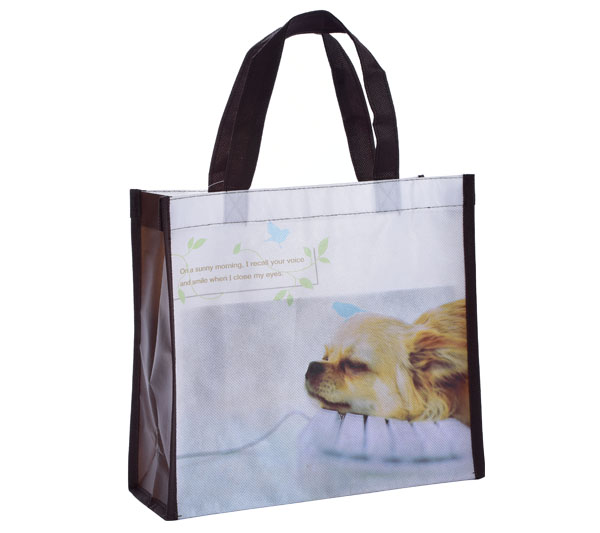 80 gsm non woven fabric gift tote bag