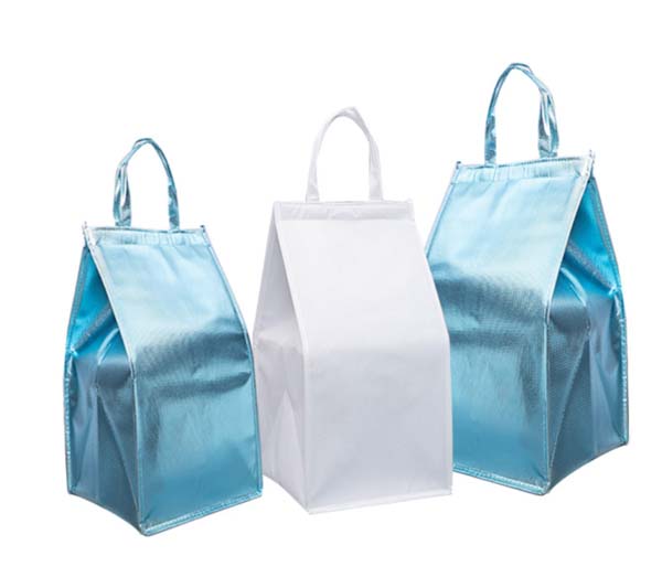 Silver Metallic Cooler Bag 