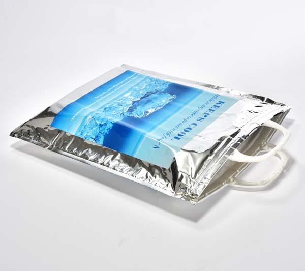 thermal hot cold bag with plastic handle 